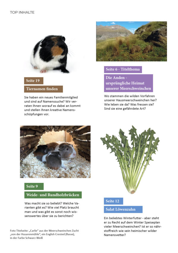 Heft 1 - April/Mai 2025 – Bild 2