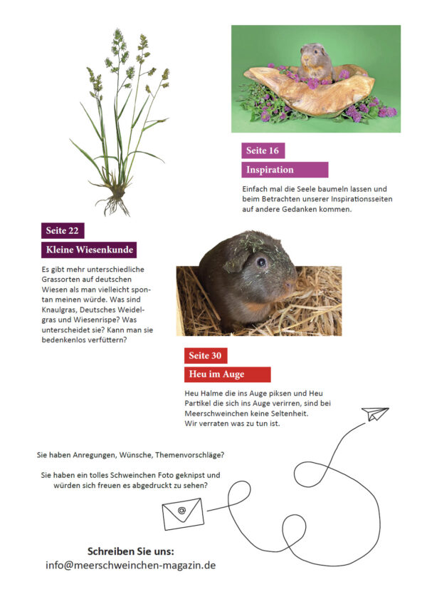 Heft 1 - April/Mai 2025 – Bild 3