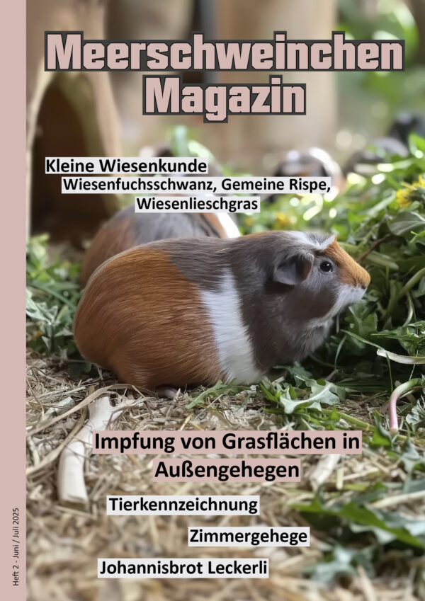 Heft 2 - Juni/Juli 2025