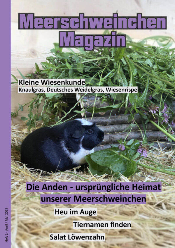 Heft 1 - April/Mai 2025