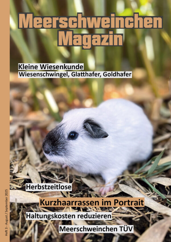 Heft 3 - Aug./Sept. 2025