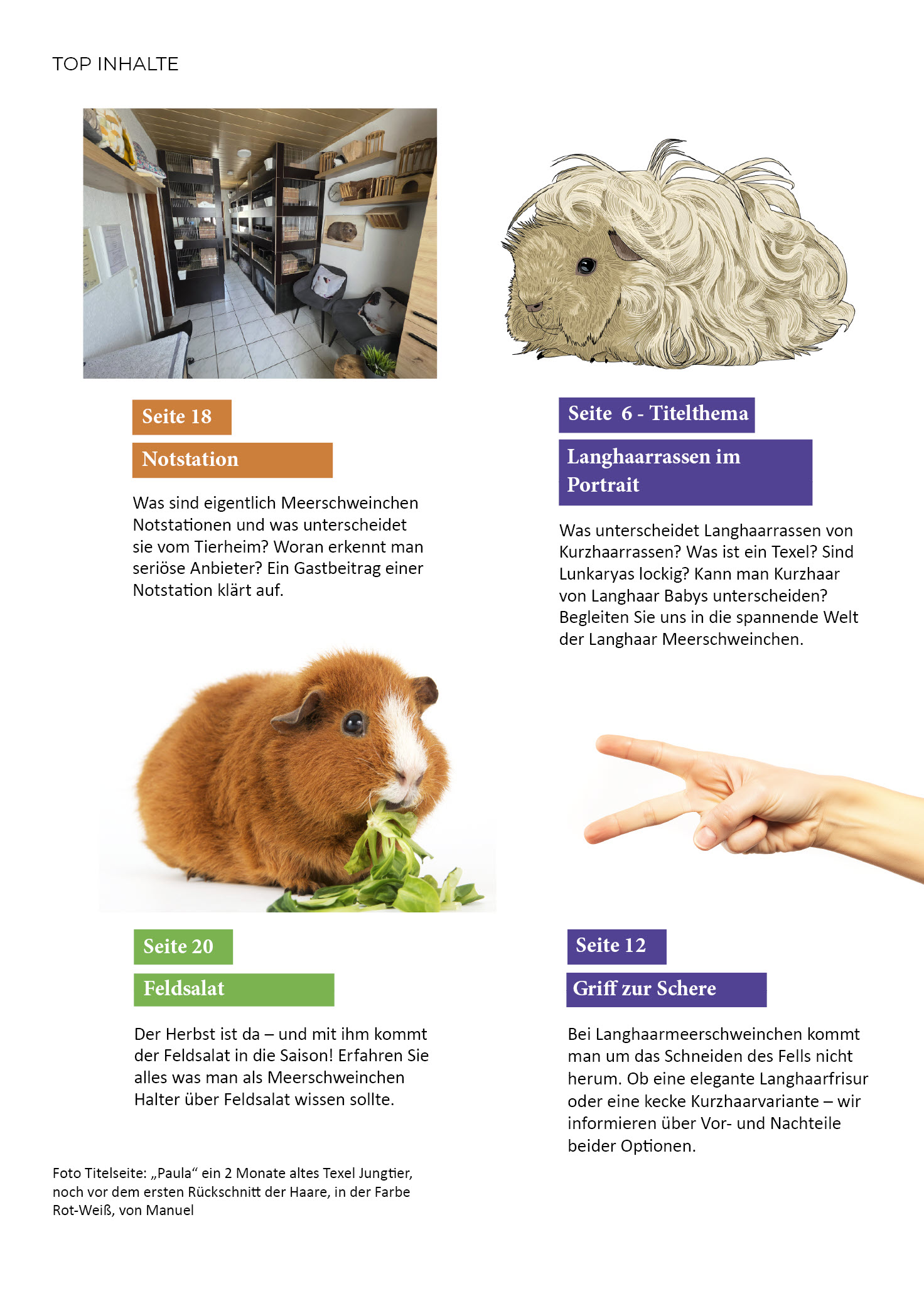 Heft 4 - Okt./Nov. 2025 – Bild 2