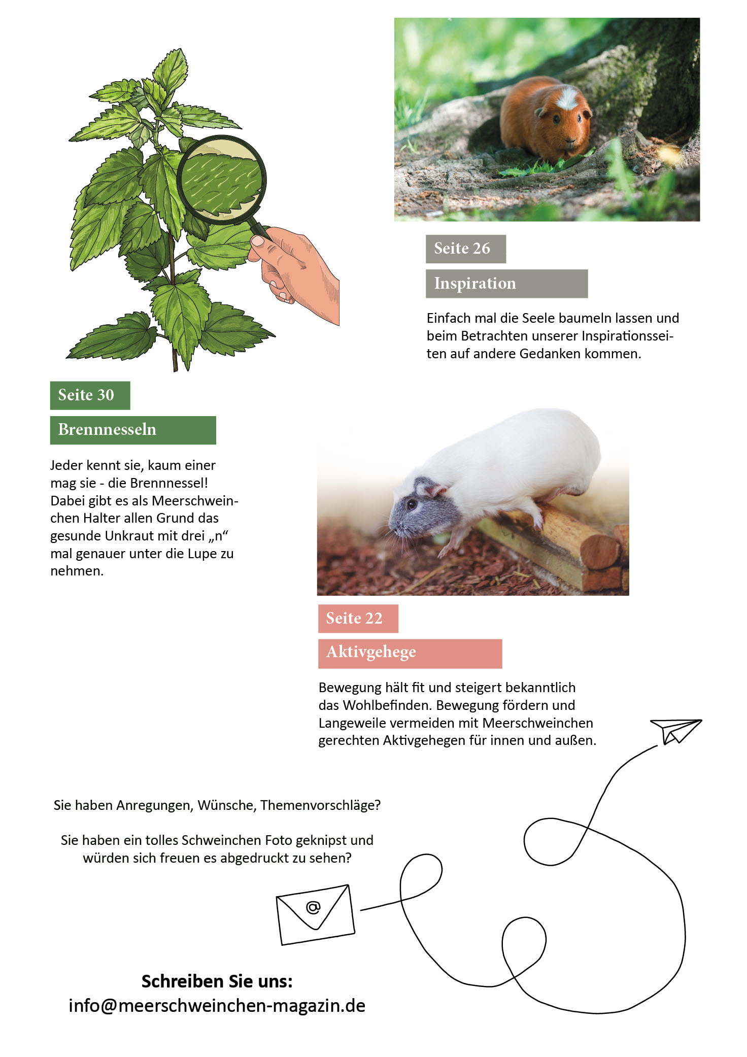 Heft 4 - Okt./Nov. 2025 – Bild 3