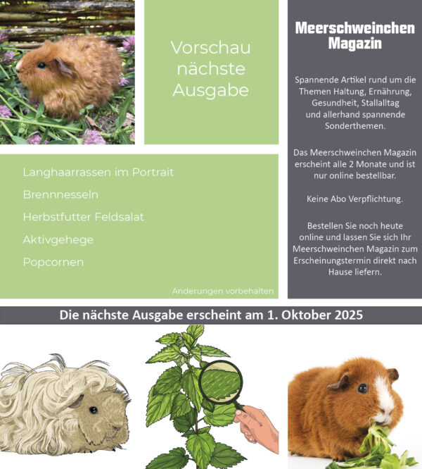 Heft 4 - Okt./Nov. 2025 – Bild 2