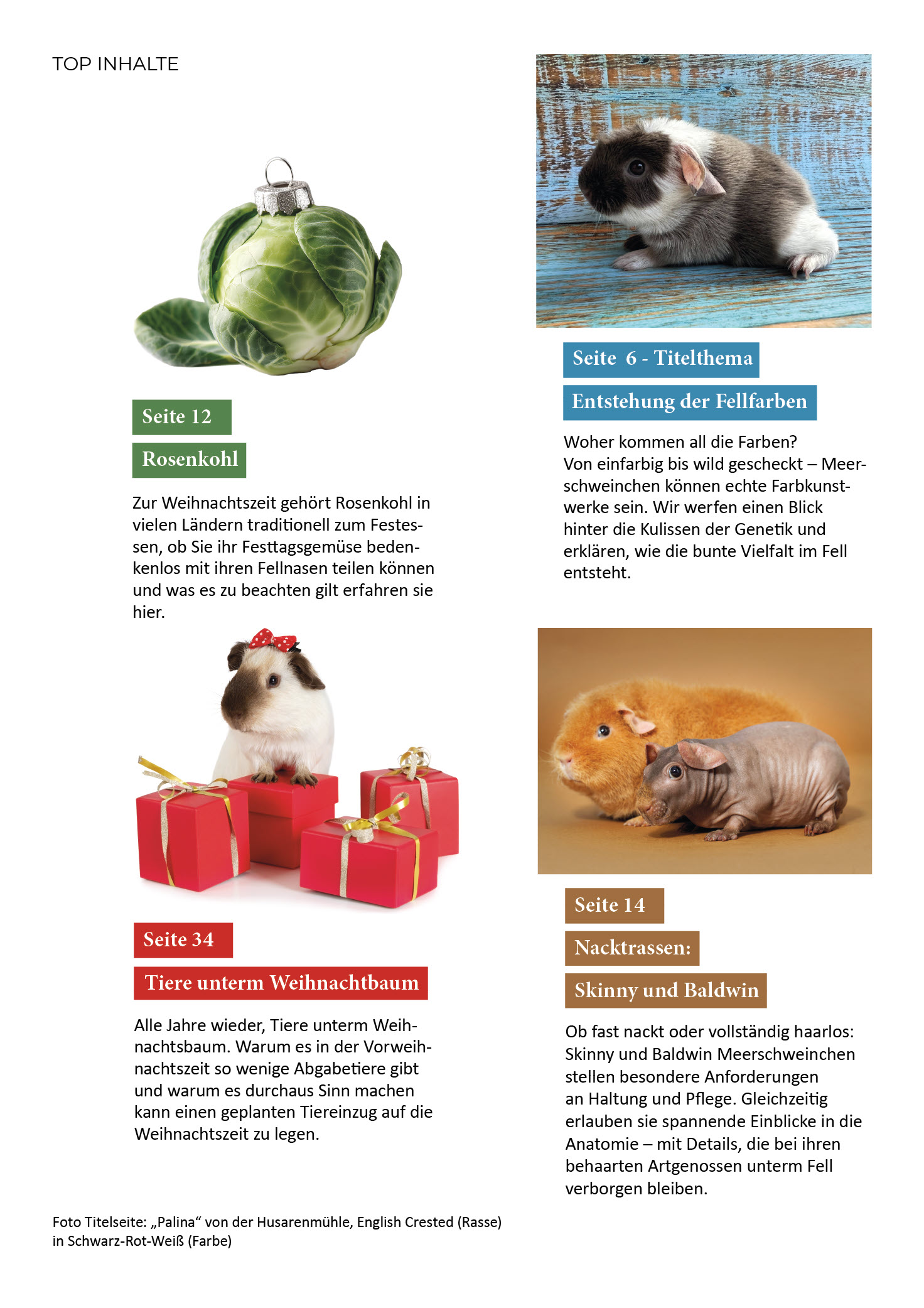 Heft 5 - Dez./Jan. 2026 – Bild 2