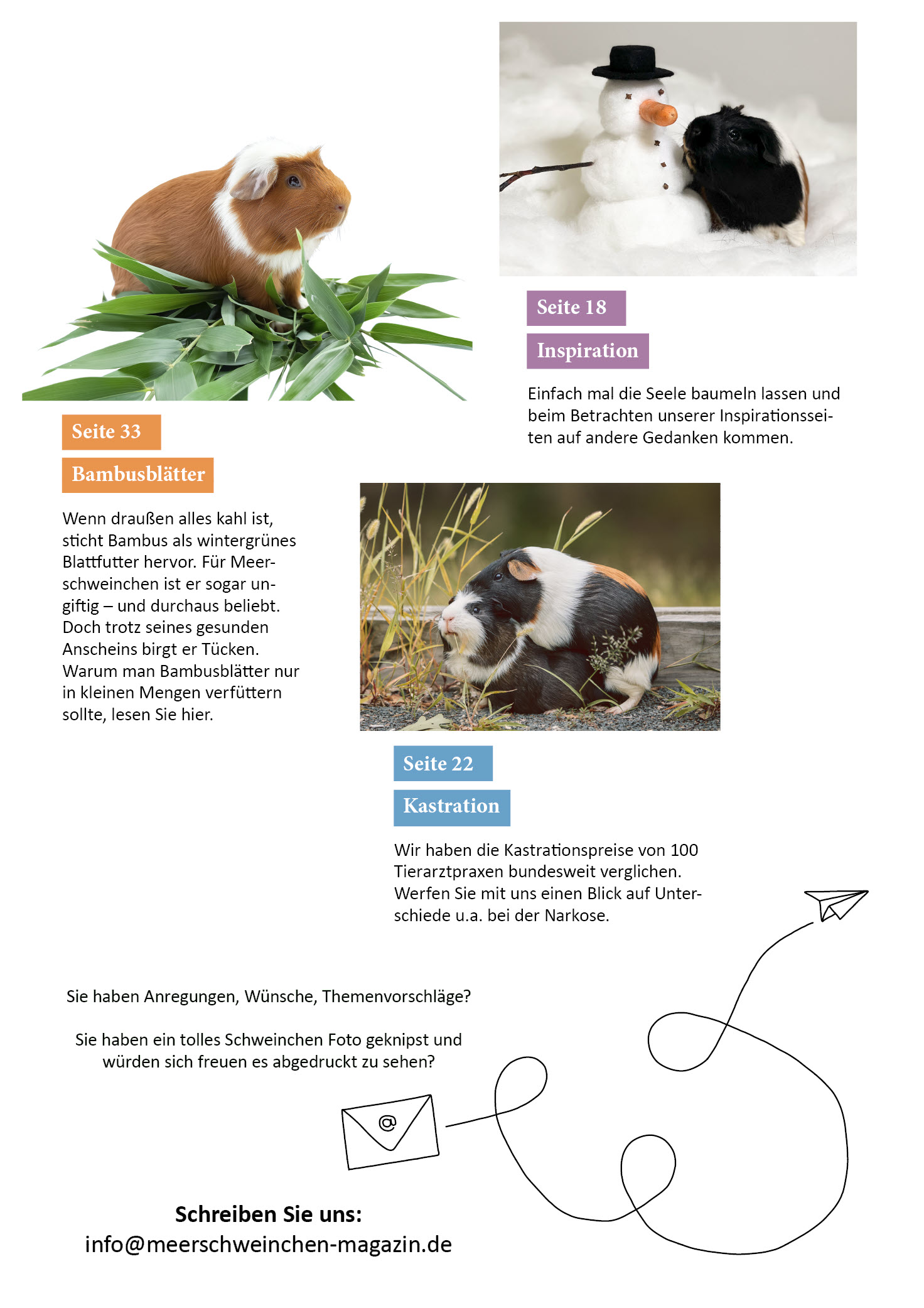 Heft 5 - Dez./Jan. 2026 – Bild 3