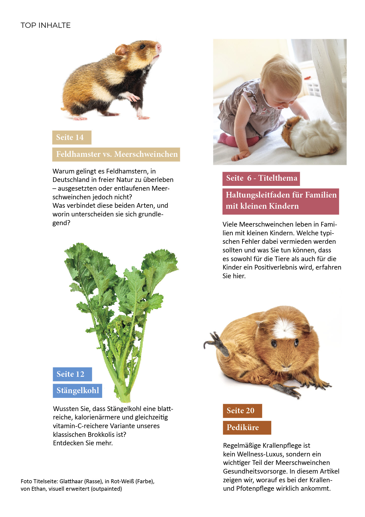 Heft 6 - Feb./März 2026 – Bild 2