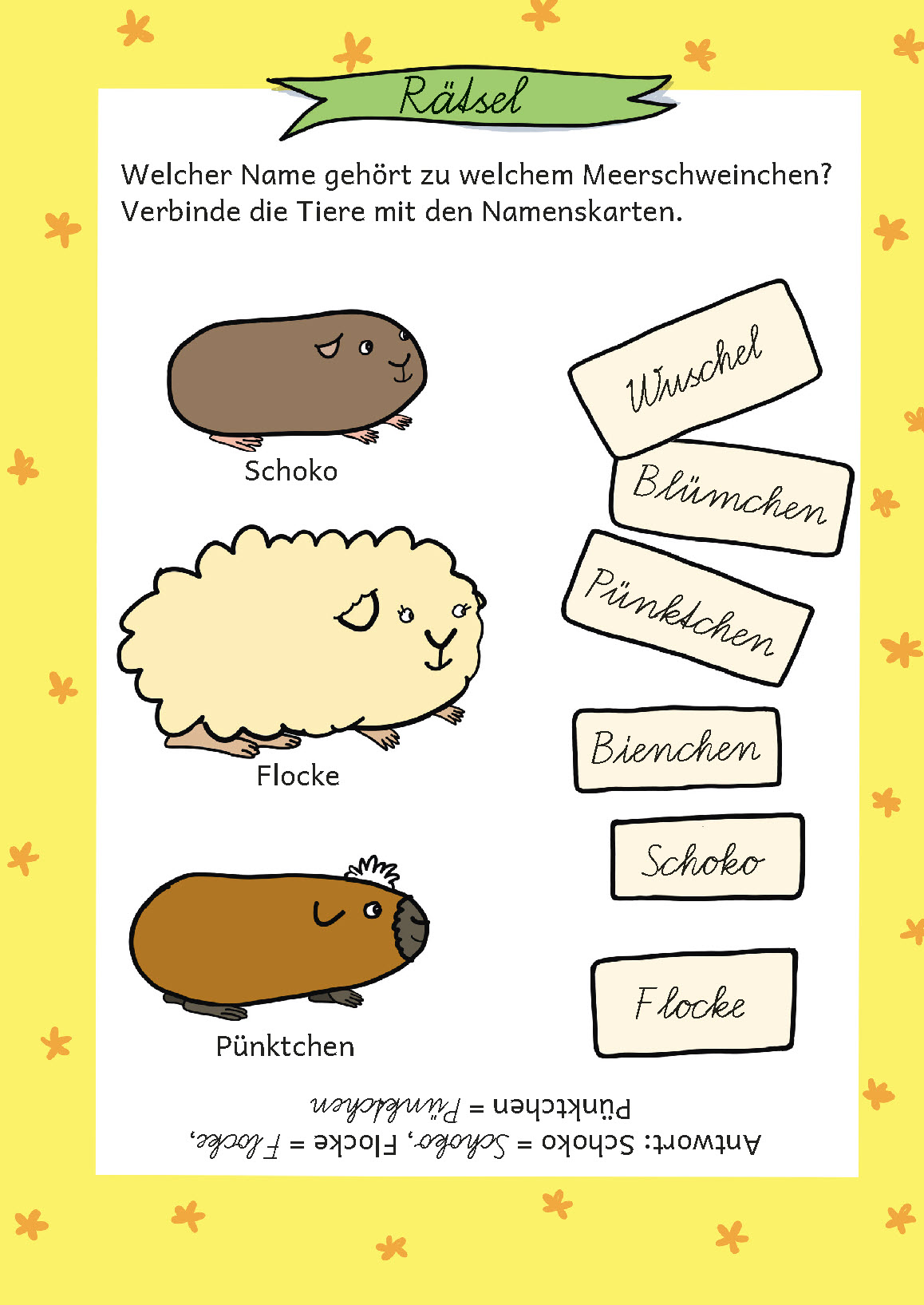 Band 1: Die Meerschweinchen ziehen ein – Bild 5